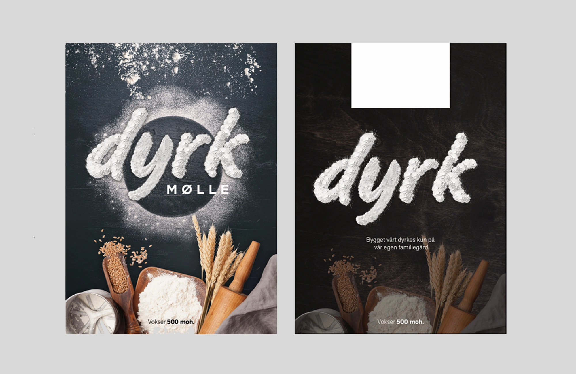 Retning 3 for Dyrk Mølle